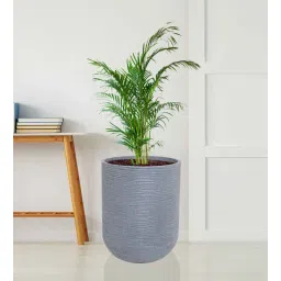 nora Medium Iris Grey Polyethylene Floor Planter-picture-16
