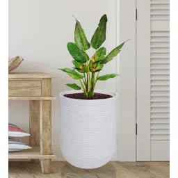 nora Medium Iris White Polyethylene Floor Planter-picture-20