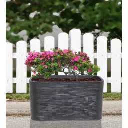 nora Rectangle Black Polyethylene Floor Planter-picture-29