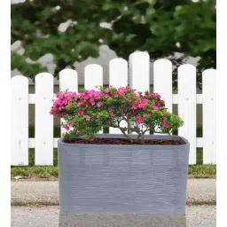 nora Rectangle Grey Polyethylene Floor Planter-picture-23