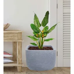 nora Square Grey Polyethylene Floor Planter-picture-21