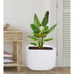 nora Square White Polyethylene Floor Planter-picture-33
