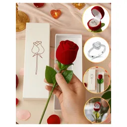 Nui Silver-Plated Stone Studded Finger Ring-picture-21