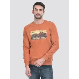 Numero Uno Burnt Orange Printed Sweatshirt-picture-29
