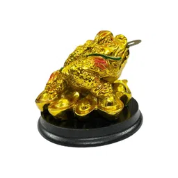 numeroastro Feng Shui Three Leg Frog On Ingot with Coin Showpiece-picture-26
