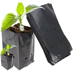 Nursery Bags for Plants 1000 pcs UV Protected Poly Grow Nursery Plant Bags 5 x 7 inch (Pack of 1000 Bags)-picture-12