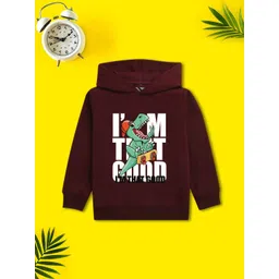NUSYL Boys Printed Hooded Sweatshirt-picture-37