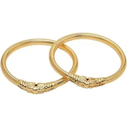 nvr Set of 2 Gold-Plated Handcrafted Traditional Bangles for Women-picture-47