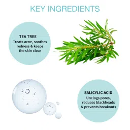 Nykaa Skin Secrets Tea Tree & Salicylic Acid Korean Acne Spot Patch-Fast Acne Healing (12 pcs) image 5