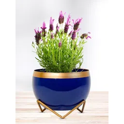 Nymph Blue Flower Planters With Stand-picture-23
