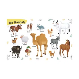 om books international My First Big Book Board Book - English image 5