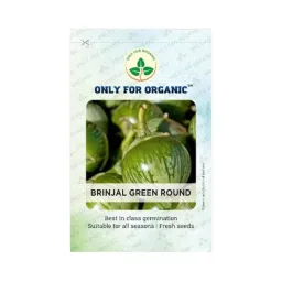 Only For Organic 10g Green Round Brinjal Vegetable Seeds, OFOPPHYBGR0025-picture-17