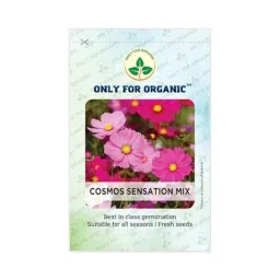 Only For Organic 50g Cosmos Sensation Mix Flower Seeds, OFOPPCSM0020-picture-41
