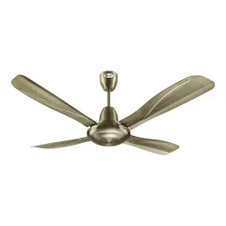 Orient Premium Stallion Brushed Brass 1320 mm Ceiling Fan-picture-10