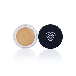 pac Studio HD Concealer - Sahara-picture-27