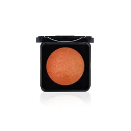 PAC Take Cover Compact Powder-picture-34