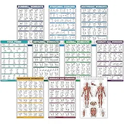 palace learning QuickFit 10 Pack - Exercise Workout Poster Set - Dumbbell, Suspension, Kettlebell, Resistance Bands, Stretching, Bodyweight, Barbell, Yoga Poses, Stability Ball, Muscular System Chart (Laminated, 18"-picture-14