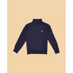 pantaloons junior Boys High-Neck Sweater-picture-12