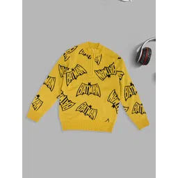 Pantaloons Junior Boys Printed Pullover-picture-52