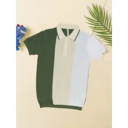 Pantaloons Junior Boys Sea Spray Color Block Polo T -Shirt-picture-35