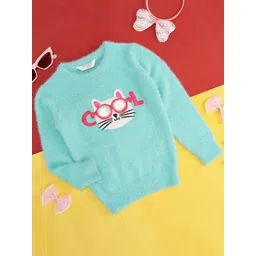 Pantaloons Junior Girls Graphic Printed Ribbed Acrylic Pullover Sweater-picture-43