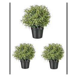 paperi Green 3 Pieces Rosmarinus Artificial Plant With Pot image 1