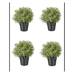 paperi Green & Black 4 Pieces Rosmarinus Artificial Plants With Pot-picture-25