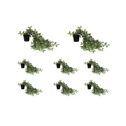 paperi Green & Black Hanging Artificial Plant With Pot-picture-39