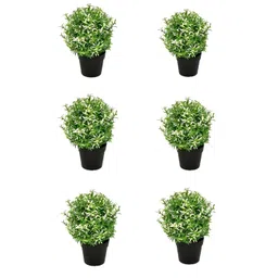 paperi White 6 Pieces Rosmarinus Artificial Plant With Pot-picture-35