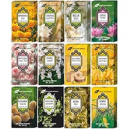 Parag Fragrances Desi Series Attars (12pc of 6ml / Wholesale Pack, Gold Sandal, White Rose, Chemeli, Bella, Kamal, Swarna Champa, Kewda, Rajnigandha, Raatrani, Kadamb, Heena, Genda)-image-14