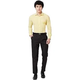 park avenue Men's Regular Pants (PMTR07034-O8_Dark Brown image 1