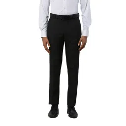 Park Avenue Black Regular Fit Checks Trousers-picture-24