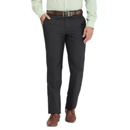 Park Avenue Black Regular Fit Checks Trousers-picture-21
