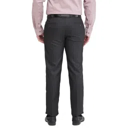 Park Avenue Black Regular Fit Striped Trousers image 2
