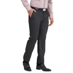 Park Avenue Black Regular Fit Striped Trousers image 4