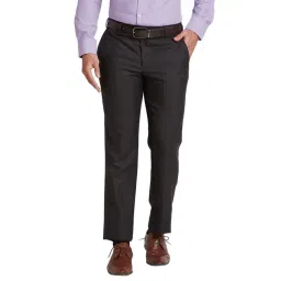 Park Avenue Brown Regular Fit Checks Trousers-picture-33