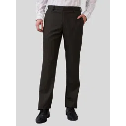 Park Avenue Brown Regular Fit Texture Trousers-picture-23