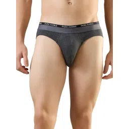 Park Avenue Grey Cotton Blend Regular Fit Solid Briefs-picture-22