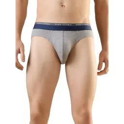 Park Avenue Grey Cotton Blend Regular Fit Solid Briefs (Pack of 2)-picture-10