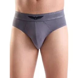 Park Avenue Grey Regular Fit Briefs-picture-18