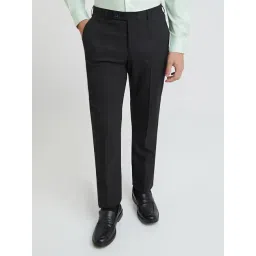 Park Avenue Grey Regular Fit Checks Trousers-picture-30