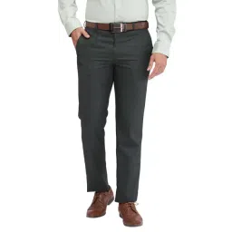 Park Avenue Grey Regular Fit Texture Trousers-picture-33