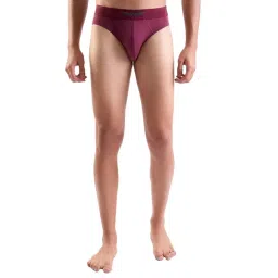 Park Avenue Maroon Regular Fit Briefs-picture-38