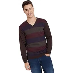 park avenue Men's Regular Fit Acrylic Wool Blend Full Sleeve V Neck Stripe Pattern Dark Brown Casual Sweater-picture-26