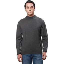 park avenue Men's Regular Fit Wool Blend Full Sleeve Turtle Neck Solid Pattern Dark Blue Casual Sweater-picture-13