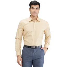 Park Avenue Yellow Slim Fit Striped Shirt-picture-27