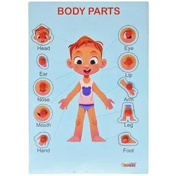 parteet Body Part Puzzle Kids Wooden Toys Jigsaw Puzzles for Adults Baby Learning Toys-picture-16