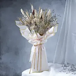 Peach Perfect-picture-31