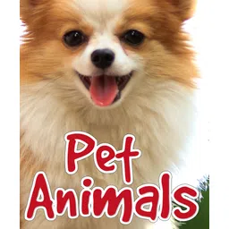 pegasus Die Cut Board Book Pet Animals - English-picture-11