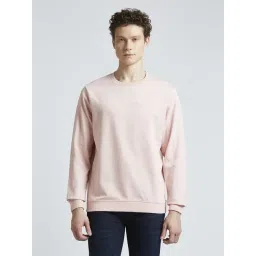 Pepe Jeans Pink Cotton Regular Fit Texture Sweatshirt-picture-40